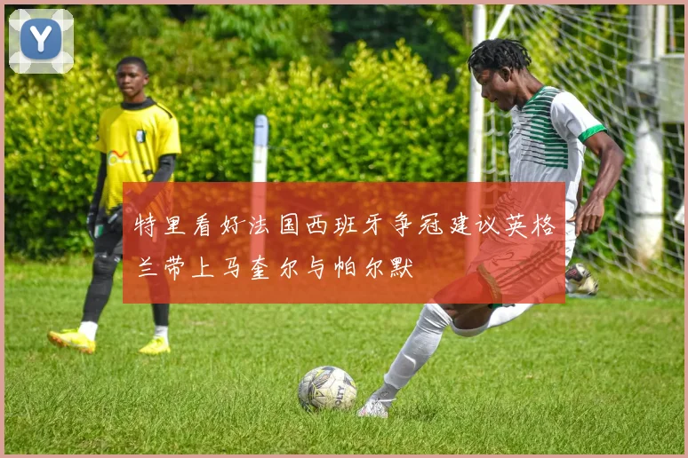 特里看好法国西班牙争冠建议英格兰带上马奎尔与帕尔默